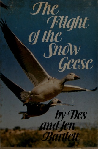 The Flight of the Snow Geese