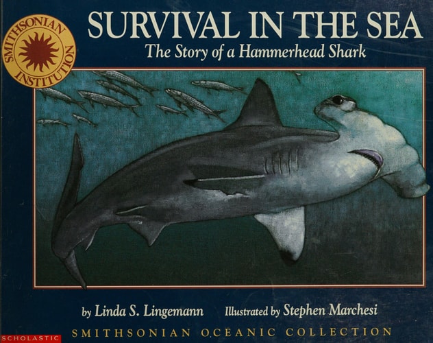 Survival in the sea: The story of a hammerhead shark