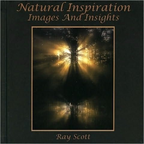 Natural Inspiration Images and Insights