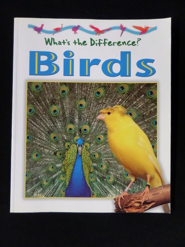 Birds (What's the Difference)