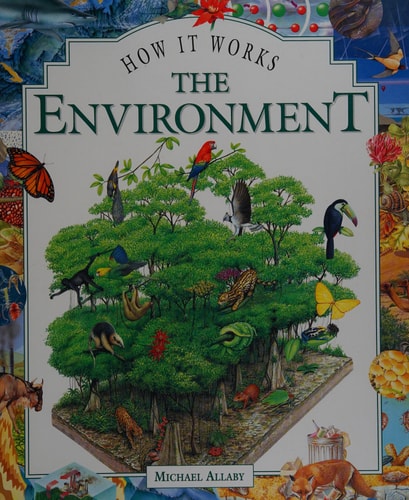 The Environment (How It Works)