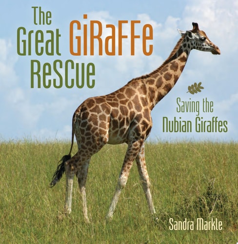 The Great Giraffe Rescue: Saving the Nubian Giraffes (Sandra Markle's Science Discoveries)