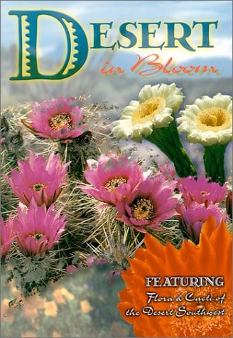 Desert in Bloom : In Pictures
