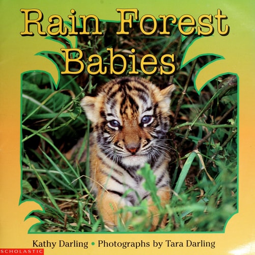 Rain Forest Babies