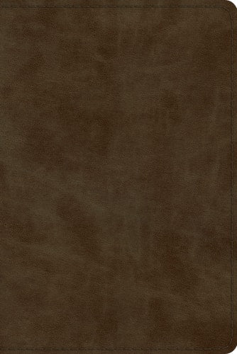 ESV Study Bible, Personal Size (TruTone, Olive)