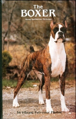 The Boxer