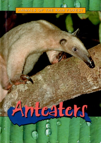 Anteaters (Animals of the Rain Forest)
