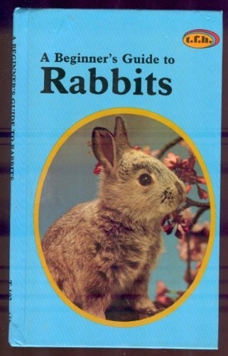 Beginner's Guide to Rabbits