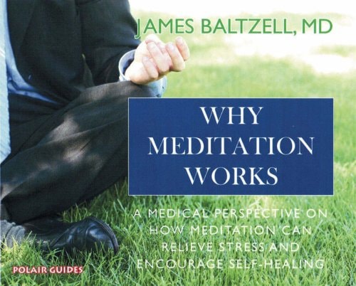 Why Meditation Works: Meditation from a Medical Perspective (Polair Guides)