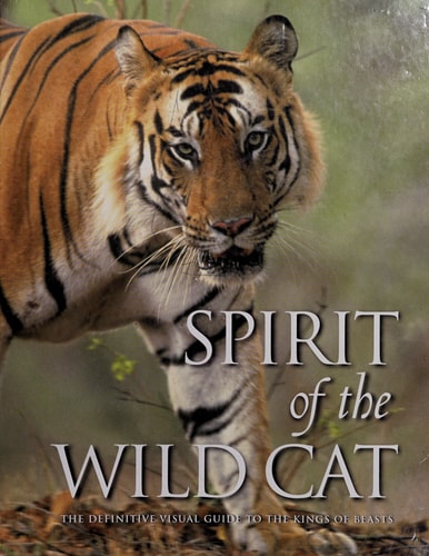 Spirit of the Wildcat