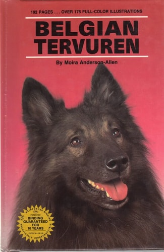 Belgian Tervuren