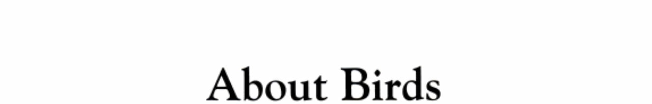 About birds: A guide for children