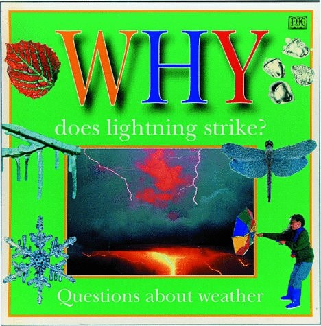 WHY DOES LIGHTNING STRIKE (Why Books, 1)
