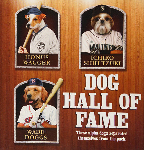 Sports Illustrated Kids Top Dogs: Babe Ruff and the Legendary Canines of Sports