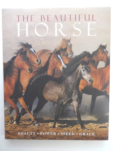The Beautiful Horse