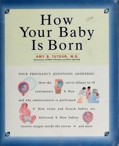 How Your Baby Is Born (How It Works Series)