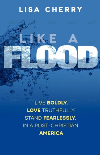Like A Flood: Live Boldly. Love Truthfully. Stand Fearlessly. In a Post Christian America.