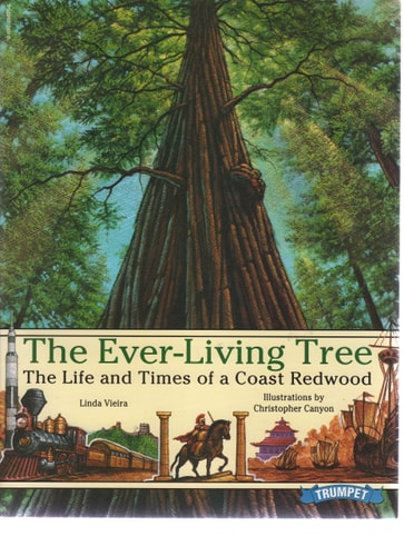 The Ever-Living Tree