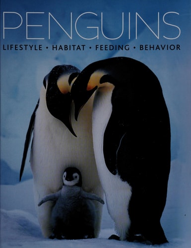 Penguins Lifestyle, Habitat, Feeding, Behavior