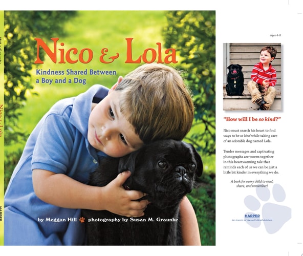 KINDERGARTEN STEPPING STONES NICO AND LOLA TRADE BOOK