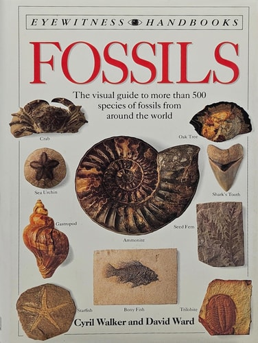 Fossils