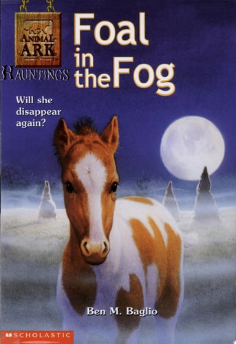 Foal in the Fog
