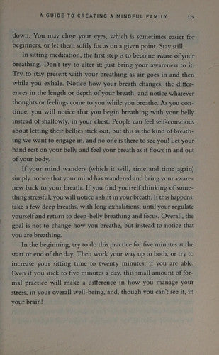Mindful Parenting
