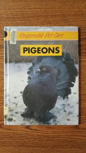 Pigeons (Responsible Pet Care)