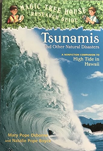 Tsunamis and Other Natural Disasters A Nonfiction Companion to High Tide in Hawaii