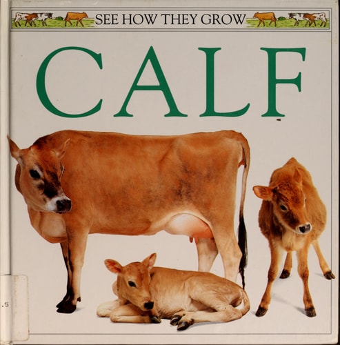 Calf (See How They Grow)