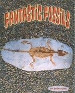 Steck-Vaughn Shutterbug Books: Leveled Reader Fantastic Fossils, Science