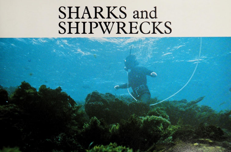 Sharks and Shipwrecks