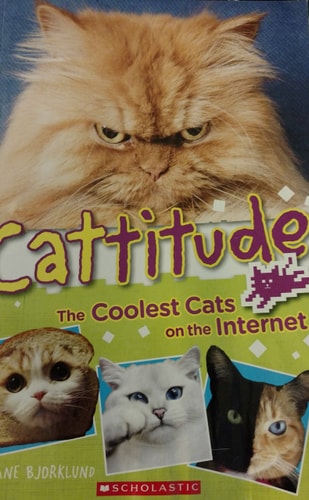 Cattitude