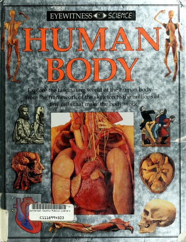 Human Body (Eyewitness Science)