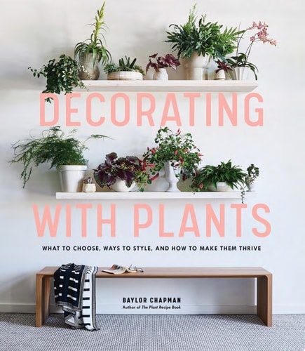 Decorating with Plants What to Choose, Ways to Style, and How to Make Them Thrive