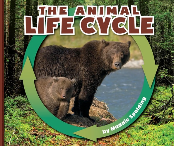 The Animal Life Cycle (Nature Cycles)