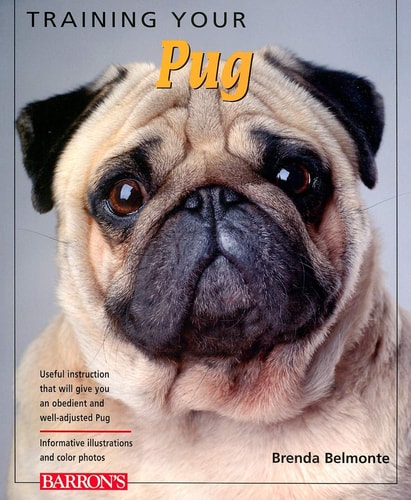 Training Your Pug