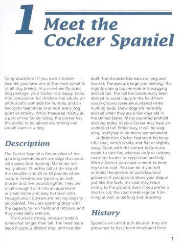 Training Your Cocker Spaniel (Training Your Dog)