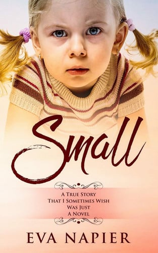 Small: A true story that I sometimes wish was just a novel