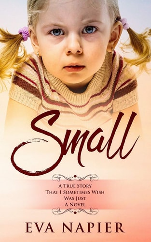 Small: A true story that I sometimes wish was just a novel