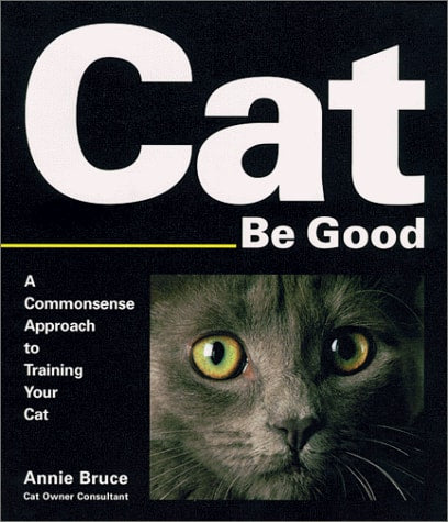 Cat Be Good: A Common Sense Approach to Cat Behavior