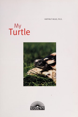 My Turtle