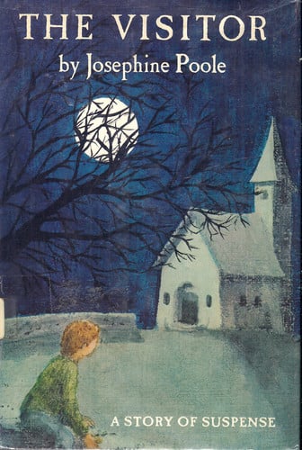 The Visitor: A Story of Suspense