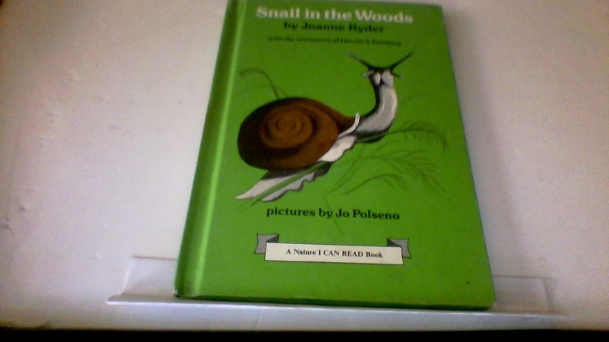Snail in the Woods