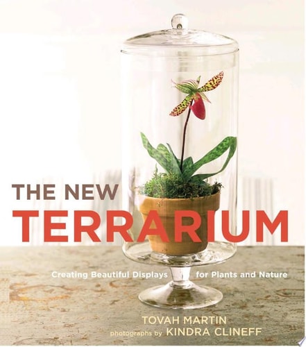 The New Terrarium Creating Beautiful Displays for Plants and Nature