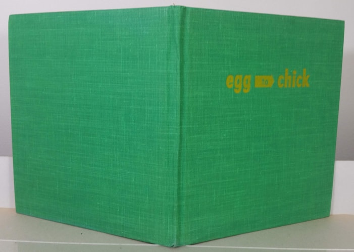 Egg to Chick