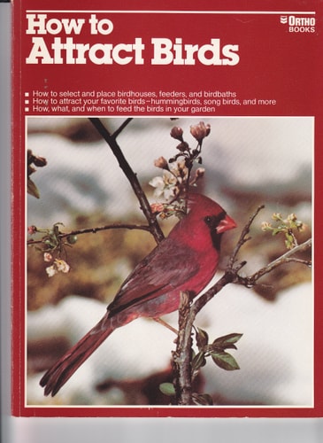 How to Attract Birds