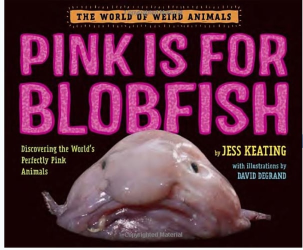 Pink is for Blobfish Discovering the World's Perfectly Pink Animals
