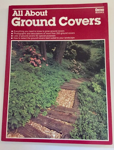 All About Ground Covers