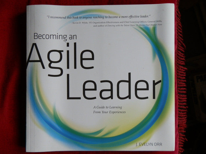 Becoming an Agile Leader, a Guide to Learning From Your Experiences
